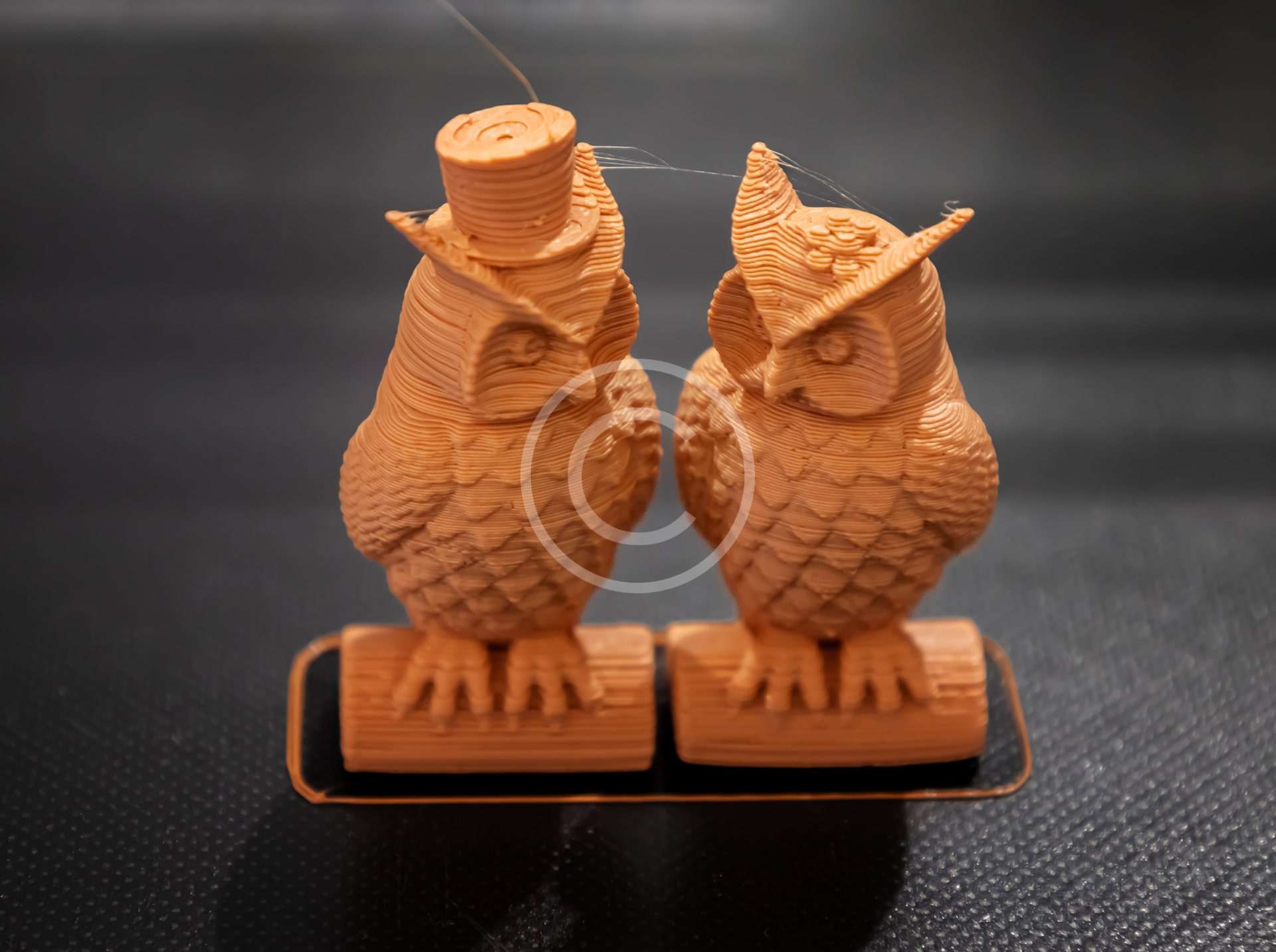 3D printer creates the most amazing items!